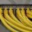 王建国，企业网络运维专家，正在机房内使用iperf3工具进行专线带宽测试验收