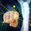 陈晓雯，网络协议研究员，专注TCP拥塞控制与带宽测试原理分析，书桌前研究网络数据